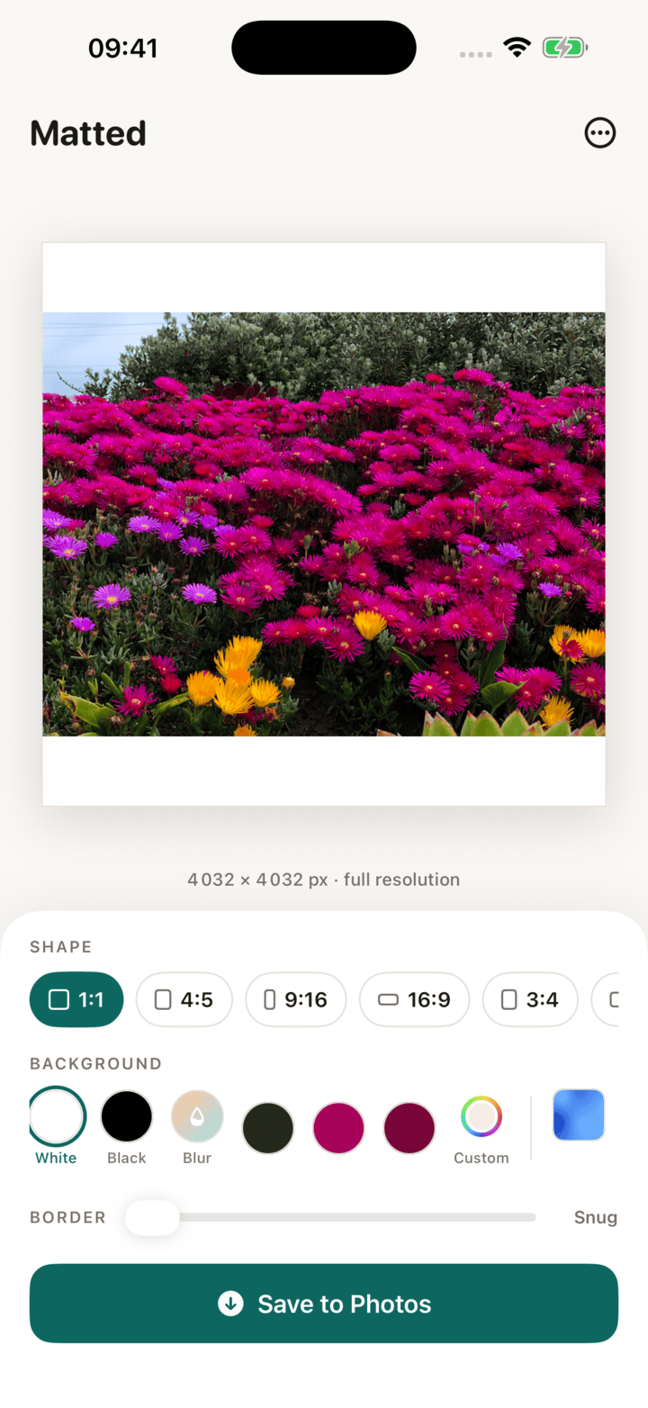 Matted on iPhone framing a flower photo in a square white mat